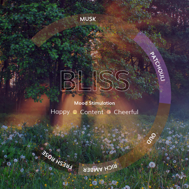 Bliss Car Electric Diffuser – Uplifting Rose & Amber Harmony - 30ML