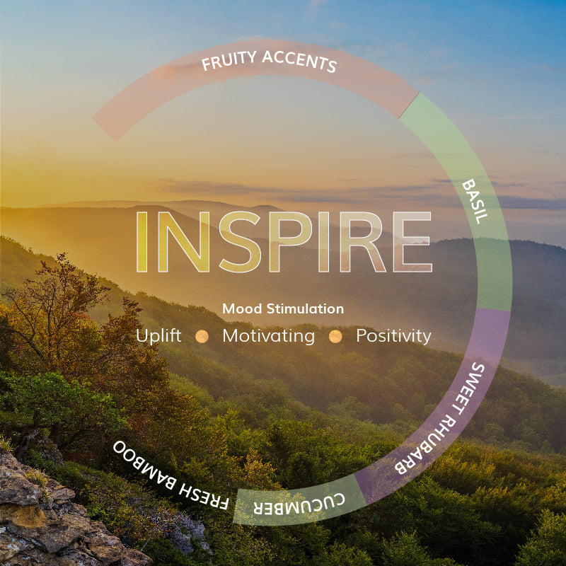 Inspire Car Diffuser – Fresh Bamboo & Uplifting Citrus - 30ML