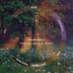 Bliss Mist Spray | Natural Fragrance for Car's