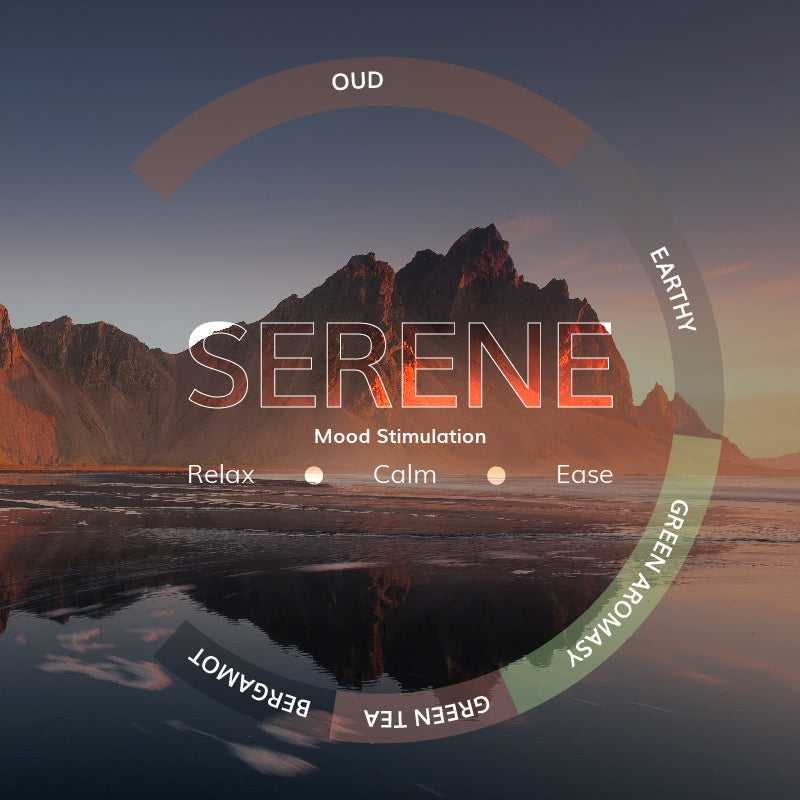 Serene Hanging Diffuser