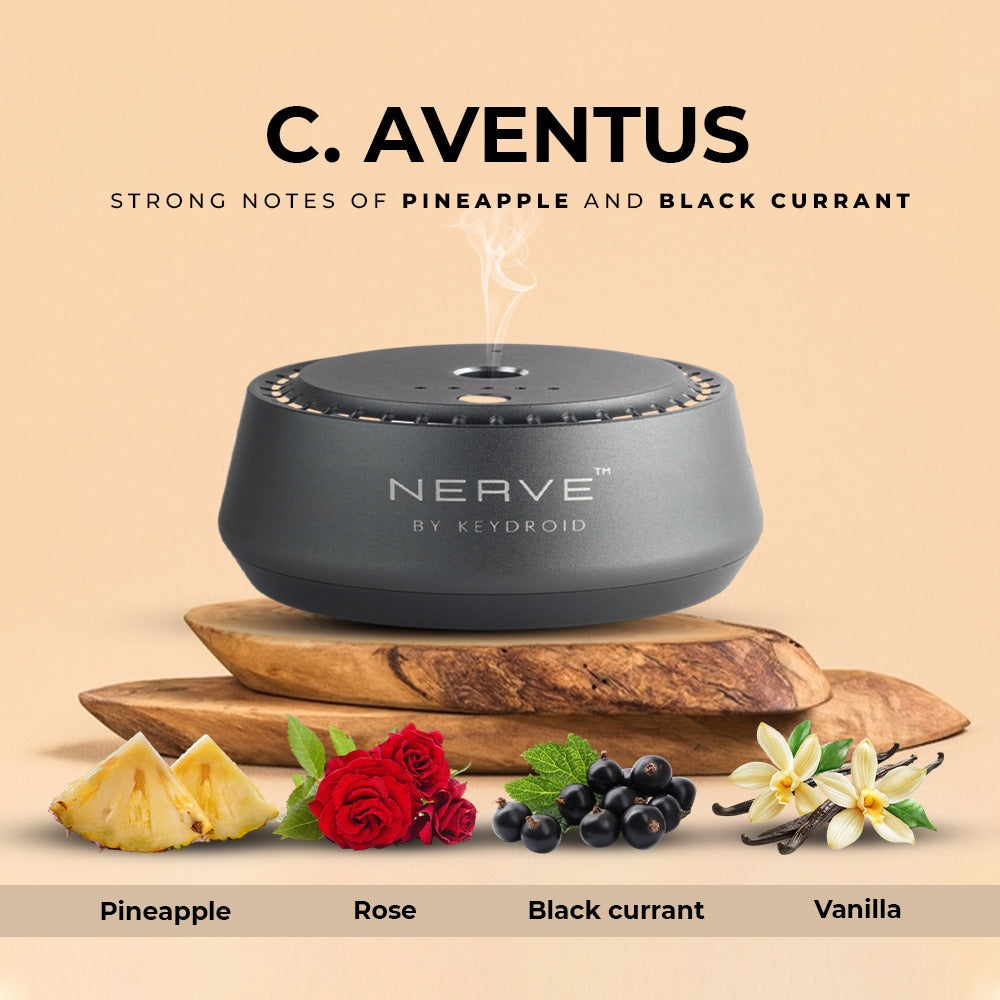 C. Aventus Electric Car Diffuser – Bold Pineapple & Musk Fusion - 30ML