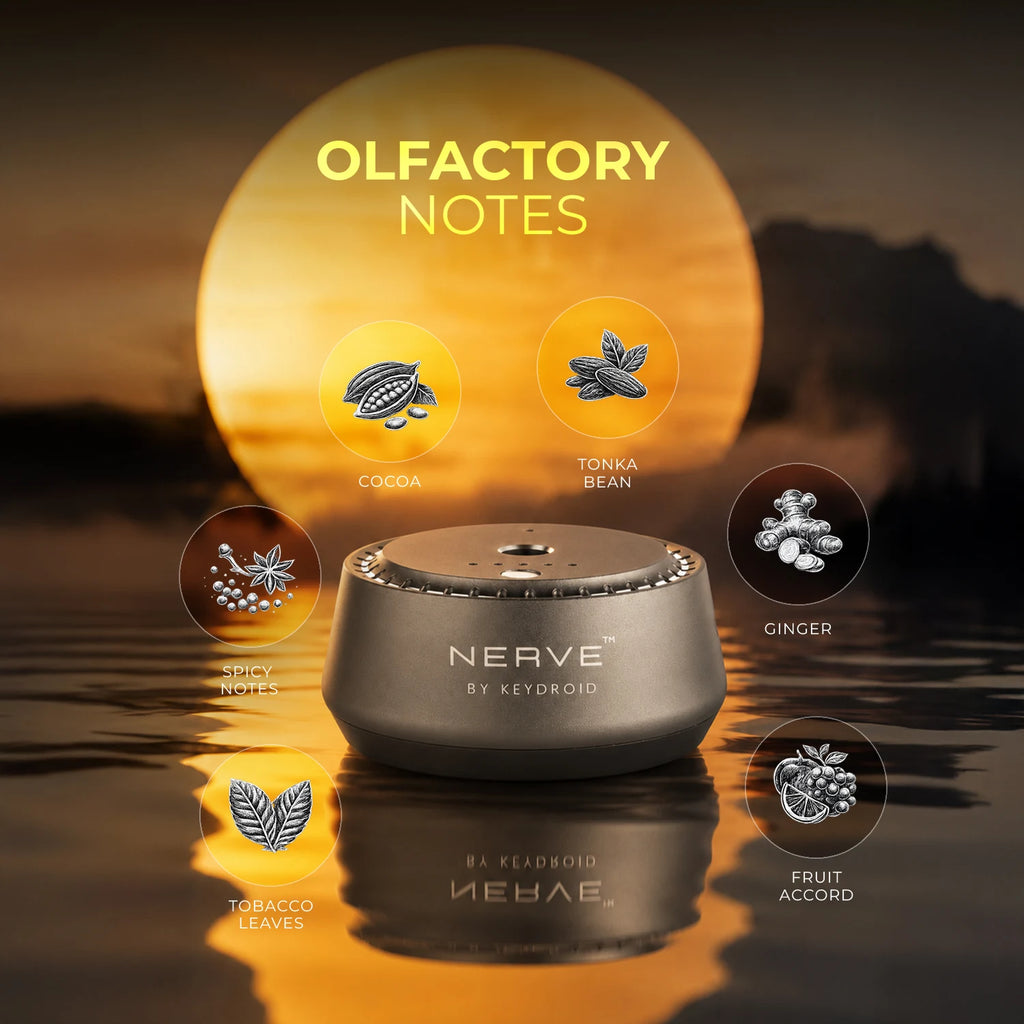 Tobacco Vanilla Rechargeable Electric Car Diffuser | Luxury Car Air Freshener